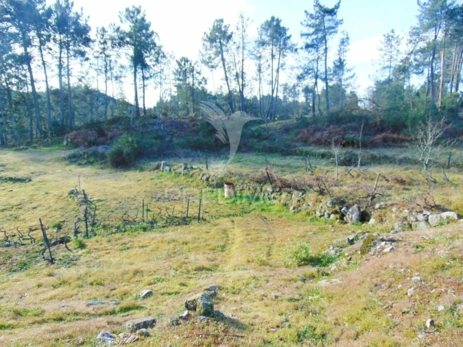 Terreno para Venda em Cumieira Foto 28