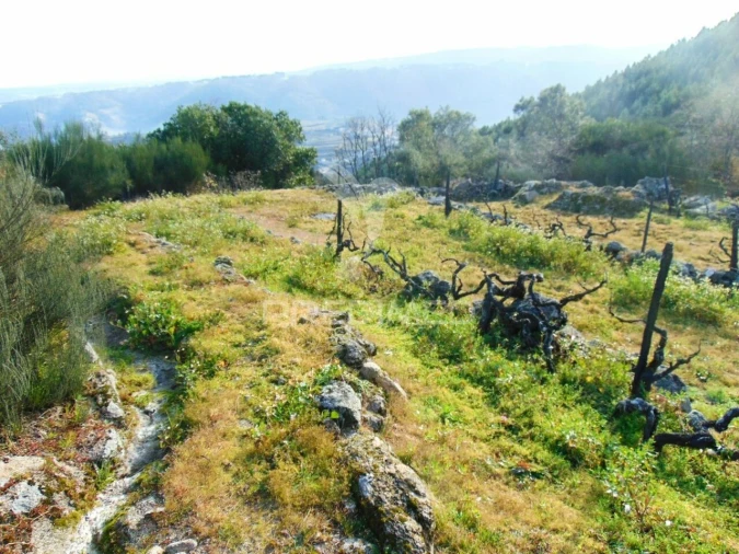 Terreno para Venda em Cumieira Foto 22