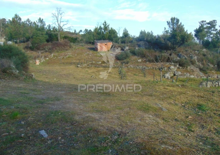 Terreno para Venda em Cumieira Foto 7