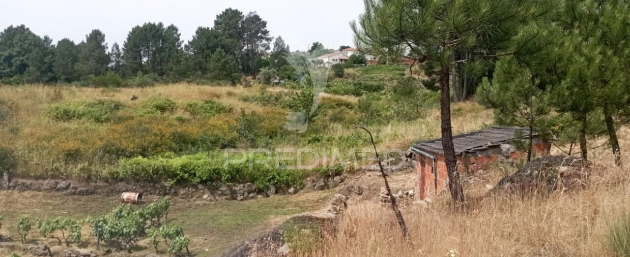 Terreno para Venda em Cumieira Foto 35