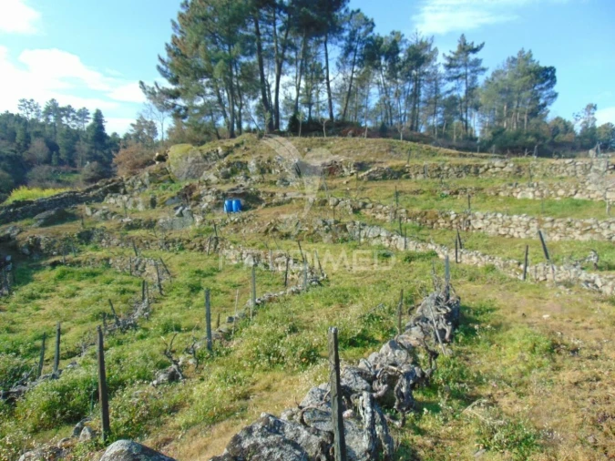 Terreno para Venda em Cumieira Foto 30