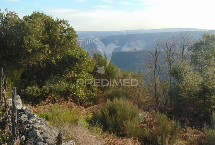 Terreno para Venda em Cumieira Foto 32