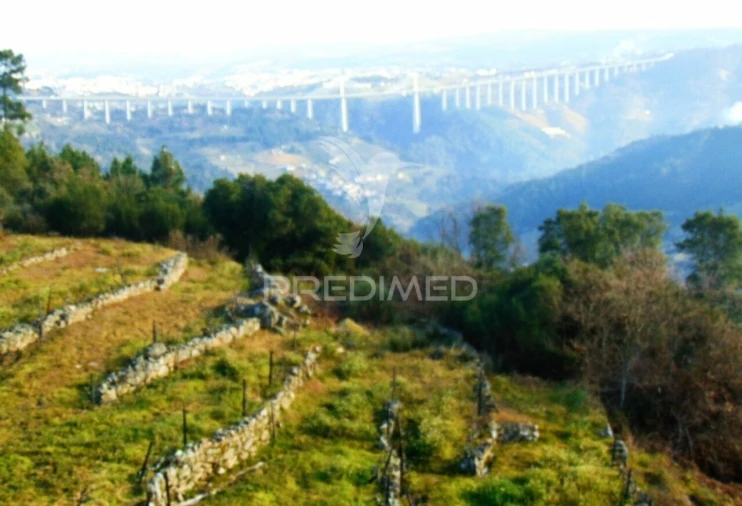 Terreno para Venda em Cumieira Foto 16