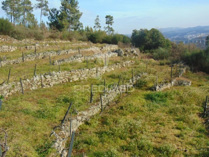 Terreno para Venda em Cumieira Foto 12