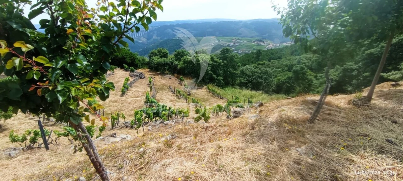 Terreno para Venda em Cumieira Foto 37
