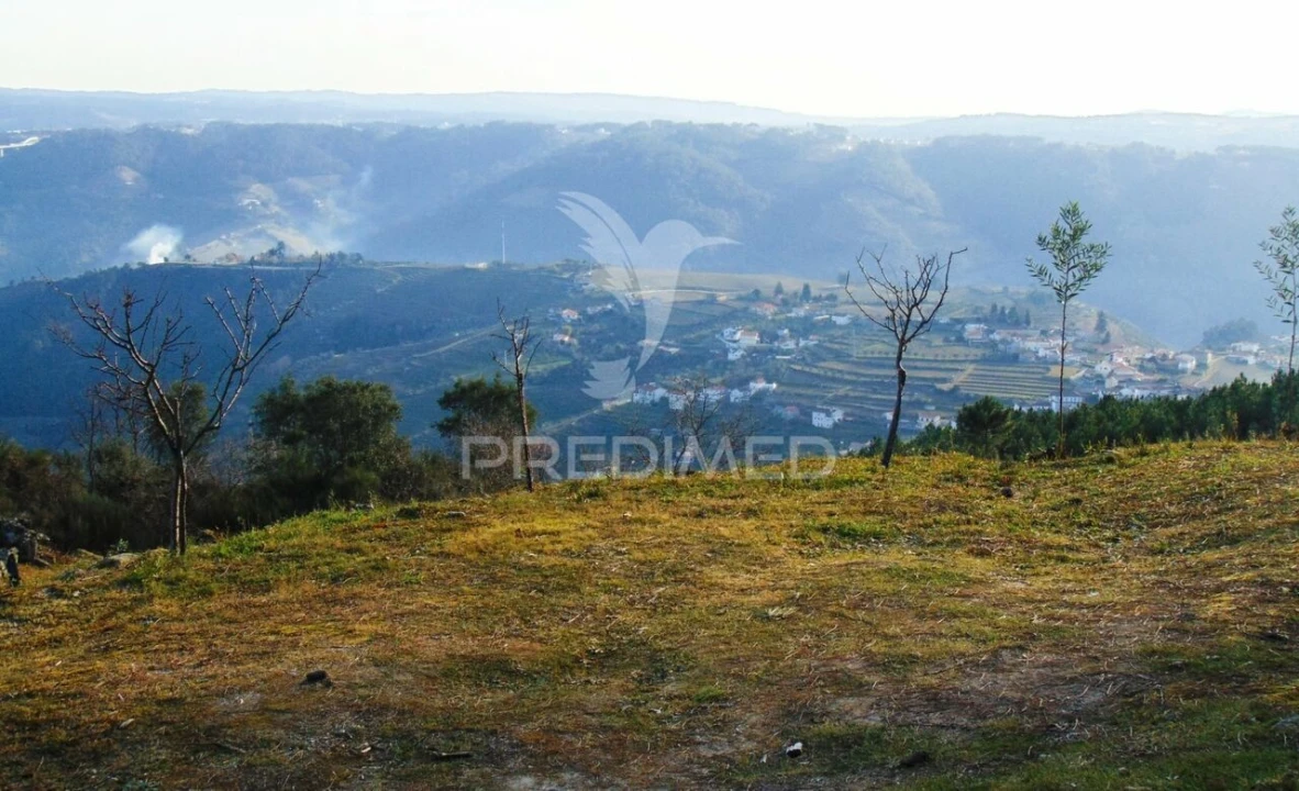 Terreno para Venda em Cumieira Foto 5