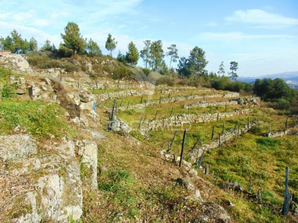 Terreno para Venda em Cumieira Foto 33