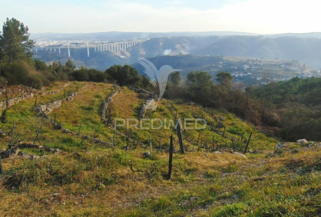 Terreno para Venda em Cumieira Foto 18