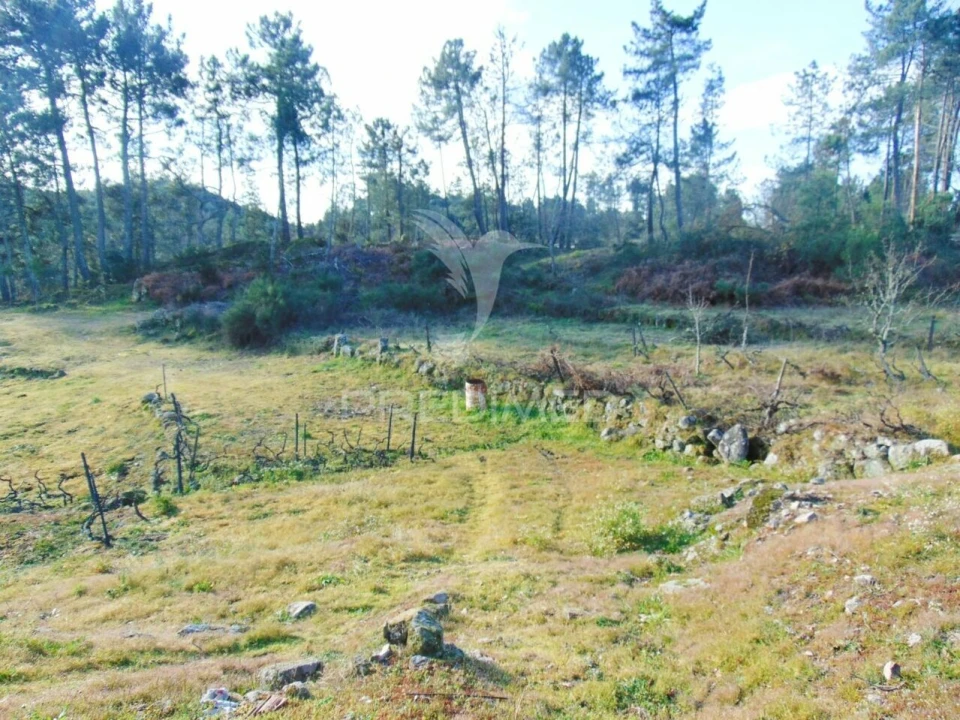 Terreno para Venda em Cumieira Foto 28