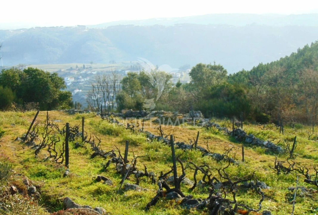 Terreno para Venda em Cumieira Foto 20