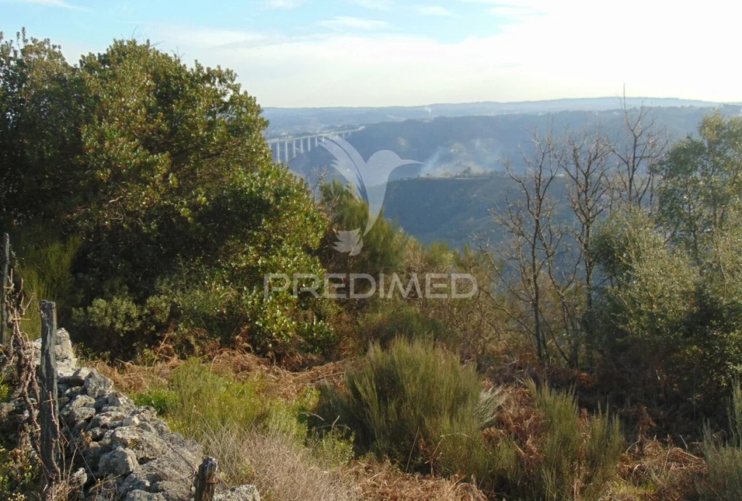 Terreno para Venda em Cumieira Foto 32