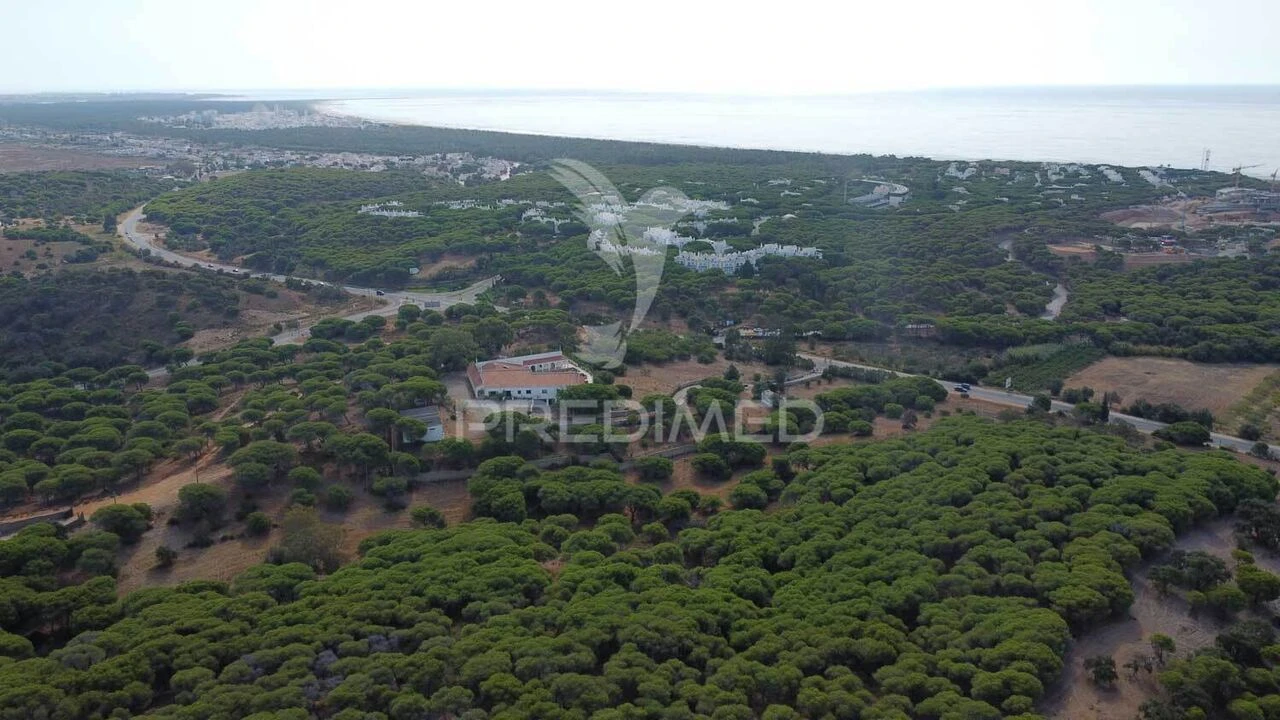 Terreno para Venda em Altura Foto 5