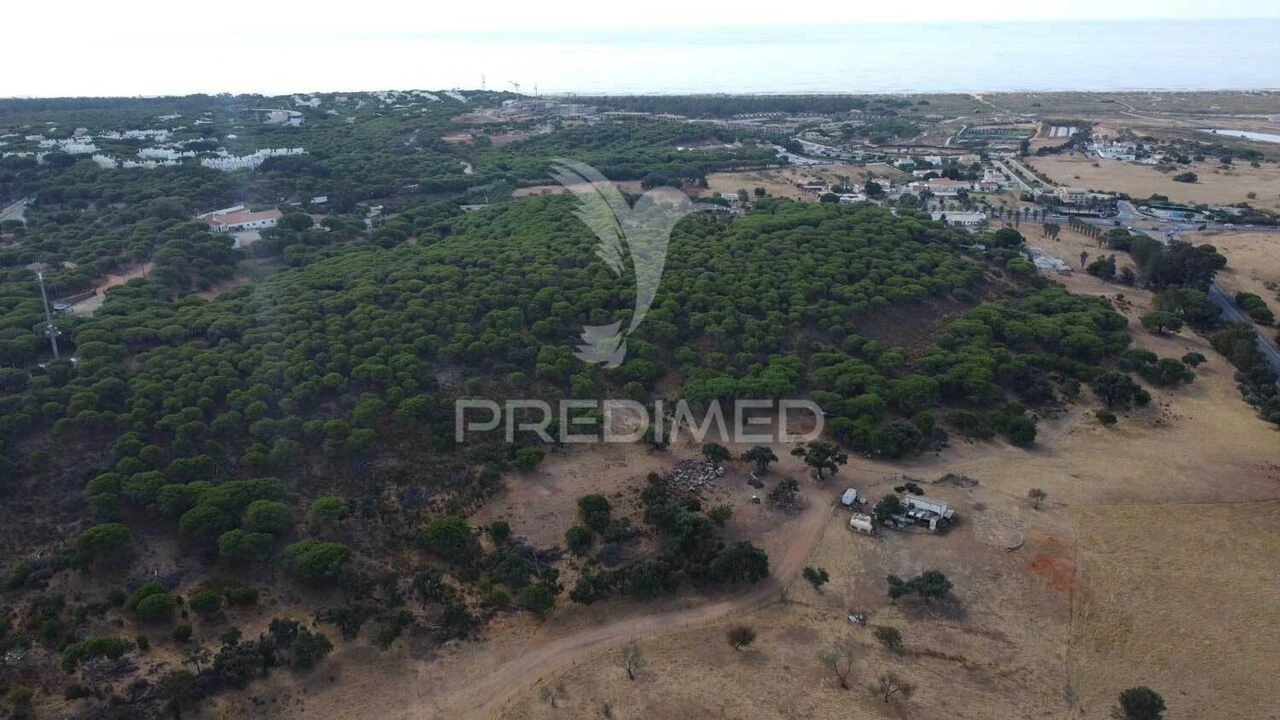 Terreno para Venda em Altura Foto 7