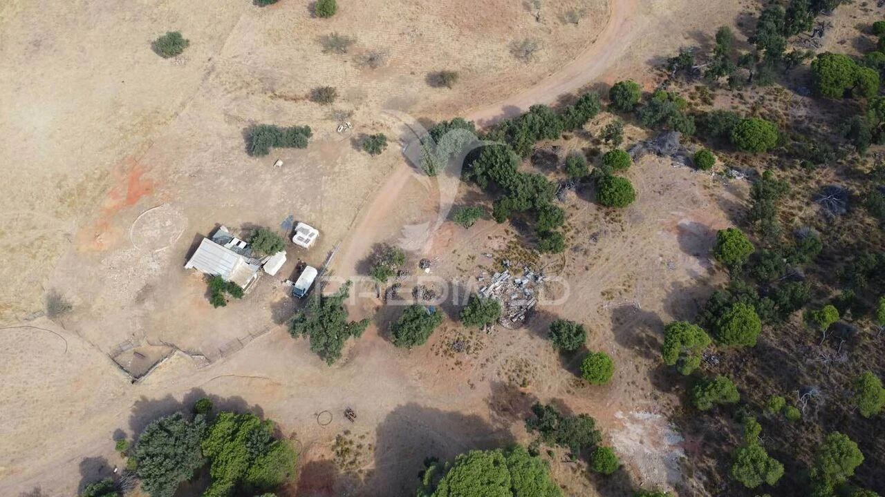 Terreno para Venda em Altura Foto 10