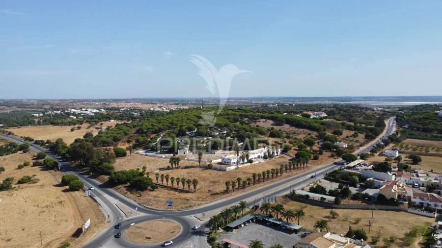 Terreno para Venda em Altura Foto 21