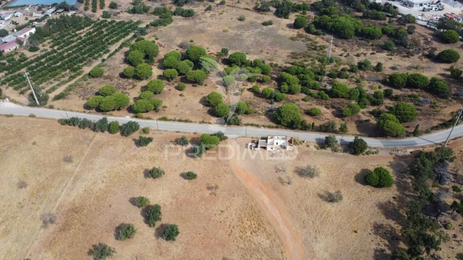 Terreno para Venda em Altura Foto 9