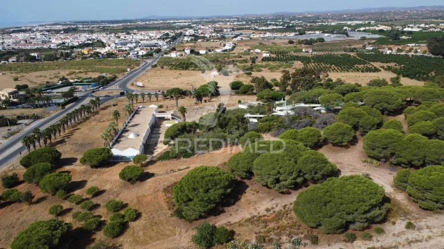 Terreno para Venda em Altura Foto 18