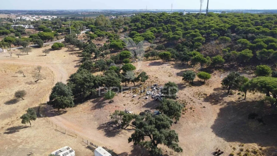 Terreno para Venda em Altura Foto 14