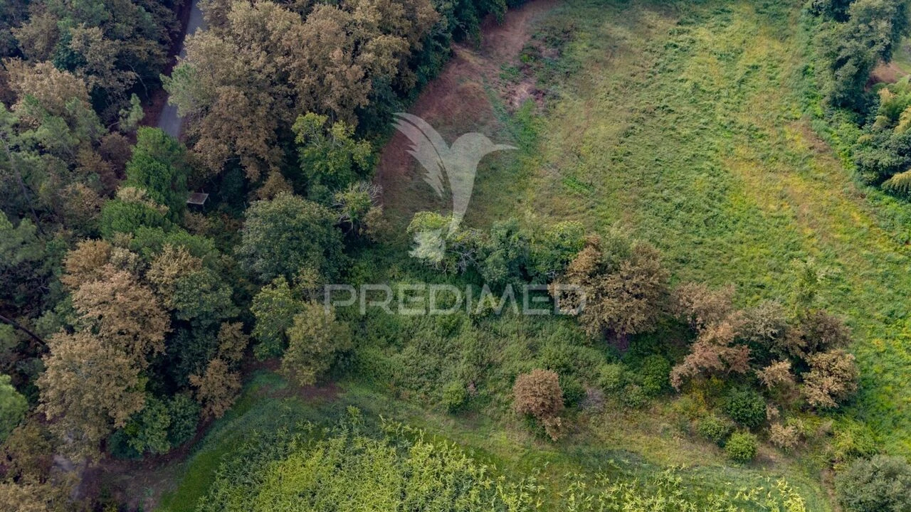 Terreno para Venda em Lage Foto 13