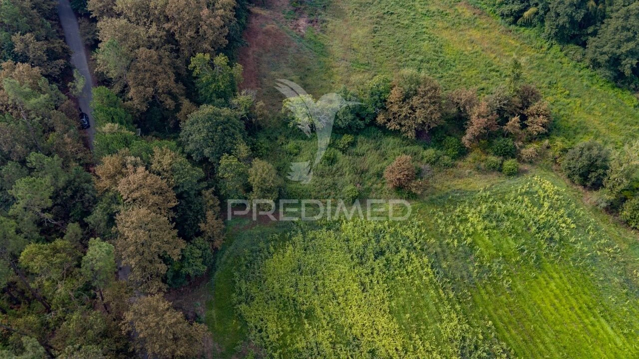 Terreno para Venda em Lage Foto 12