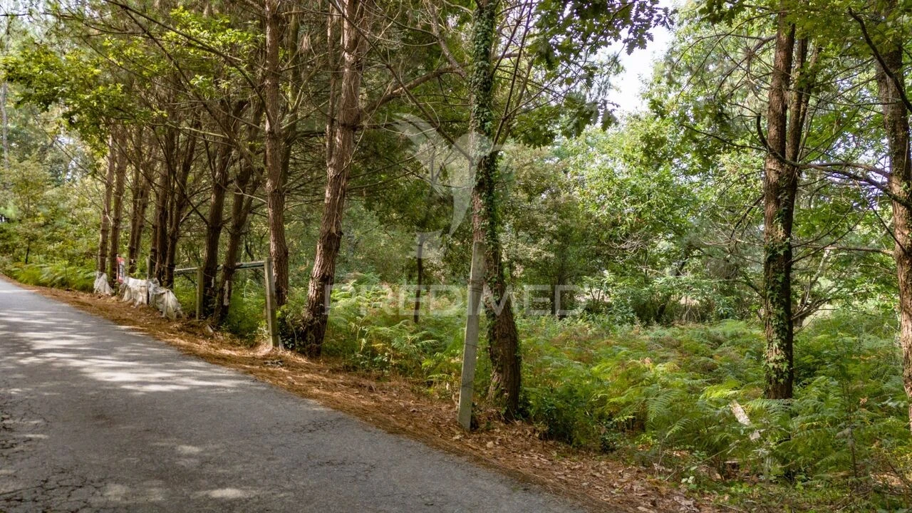 Terreno para Venda em Lage Foto 27