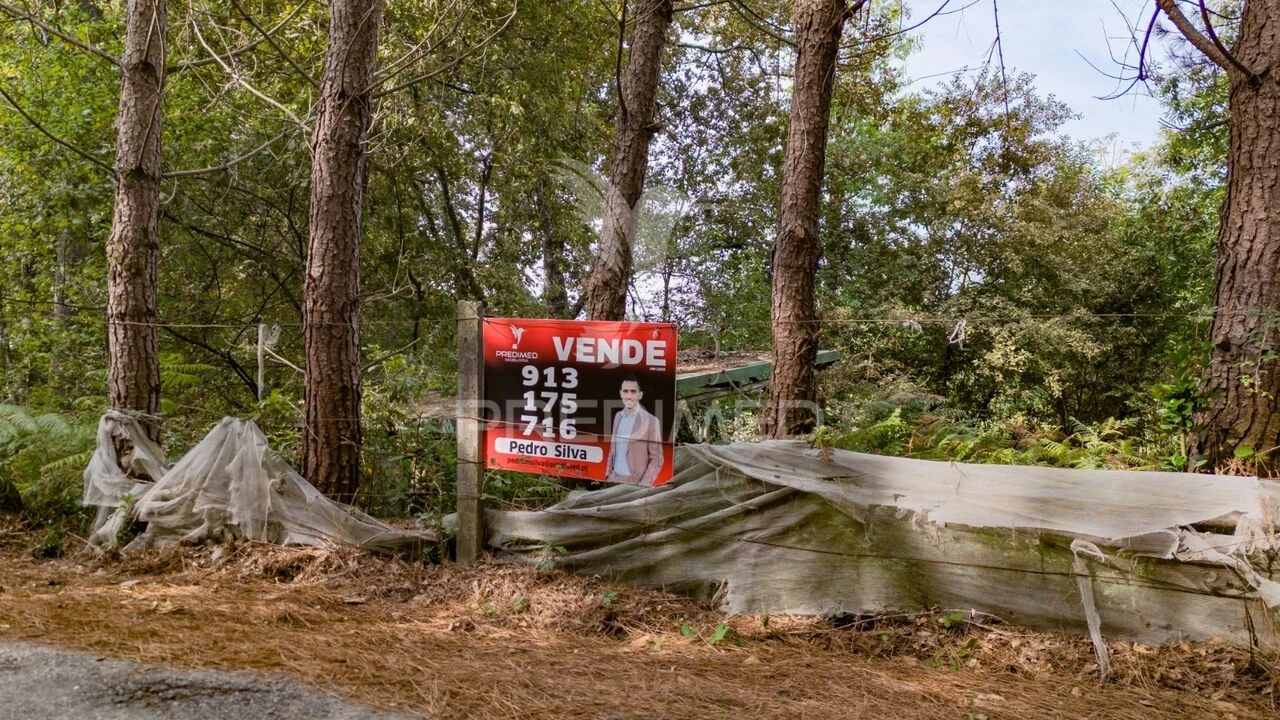 Terreno para Venda em Lage Foto 2