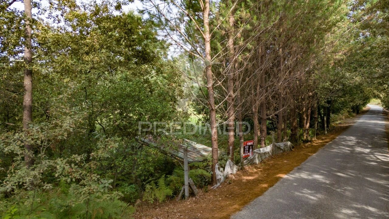 Terreno para Venda em Lage Foto 28