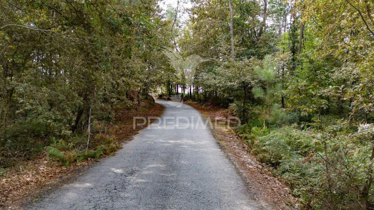 Terreno para Venda em Lage Foto 5