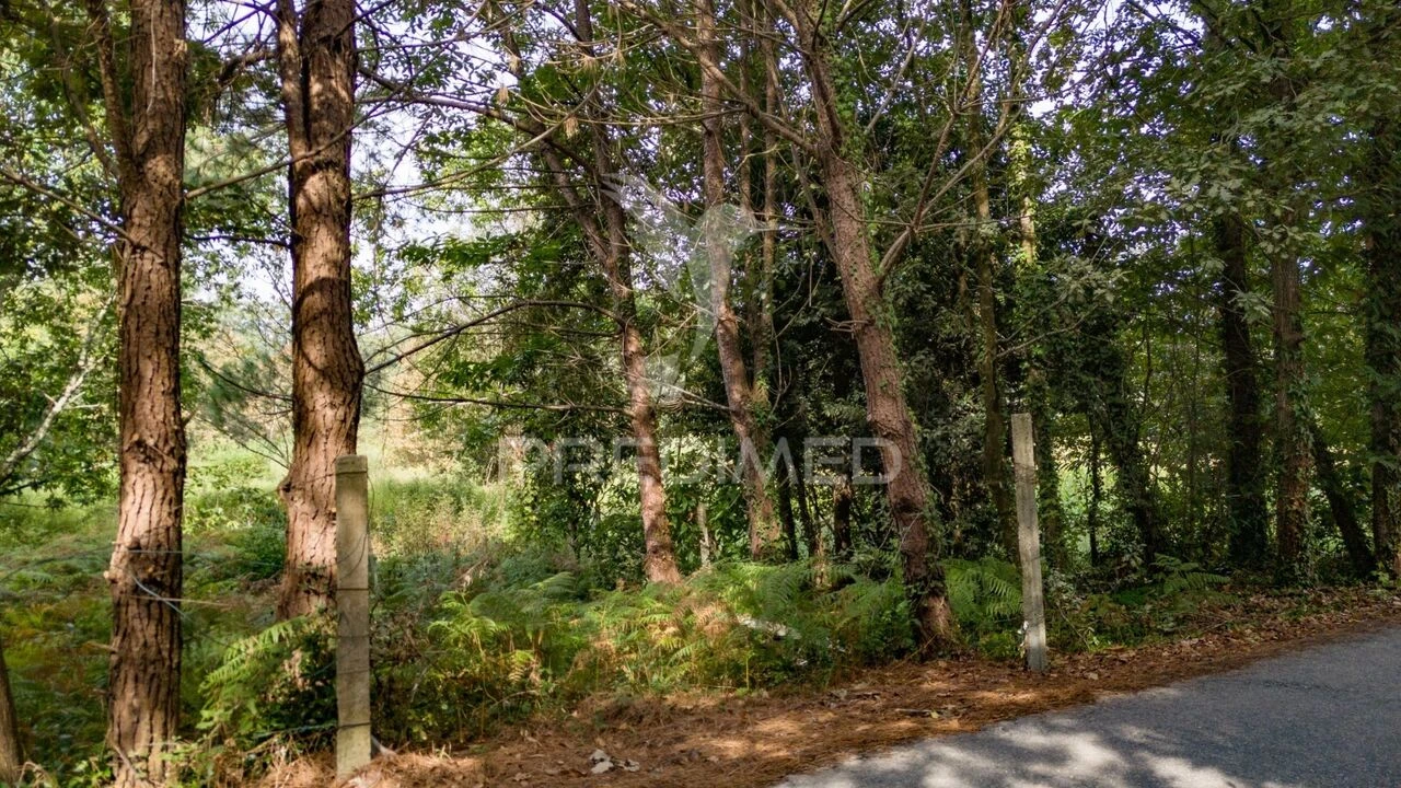 Terreno para Venda em Lage Foto 24