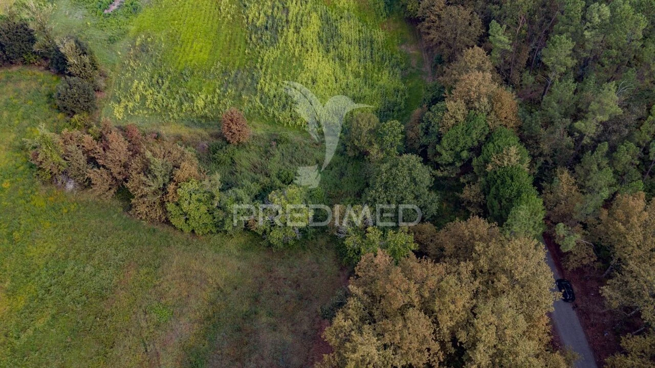 Terreno para Venda em Lage Foto 31