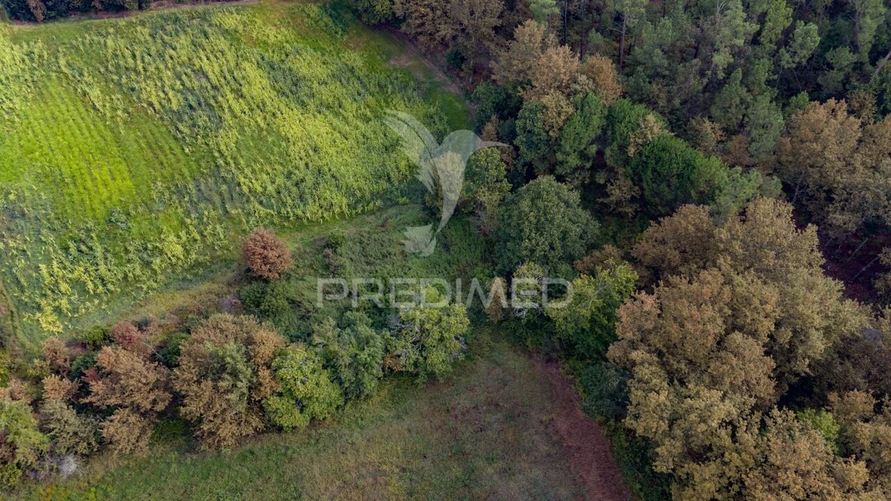 Terreno para Venda em Lage Foto 22