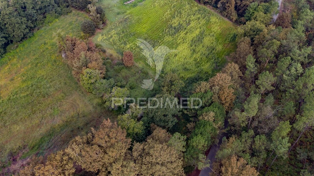 Terreno para Venda em Lage Foto 19