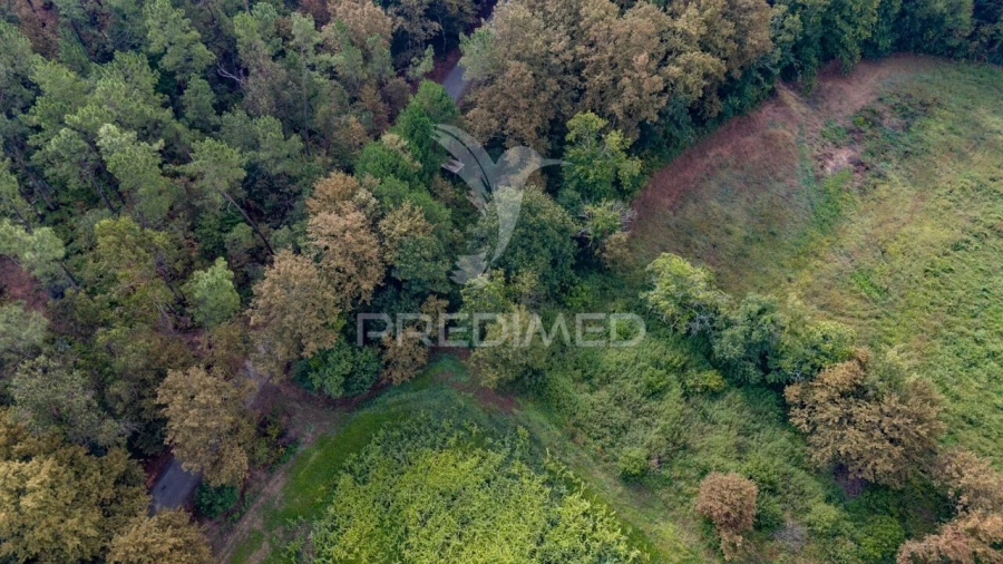 Terreno para Venda em Lage Foto 21