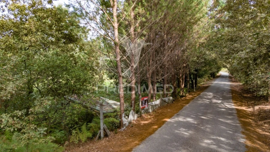 Terreno para Venda em Lage Foto 3