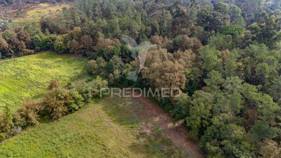 Terreno para Venda em Lage Foto 20