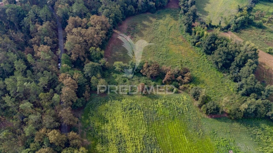 Terreno para Venda em Lage Foto 9