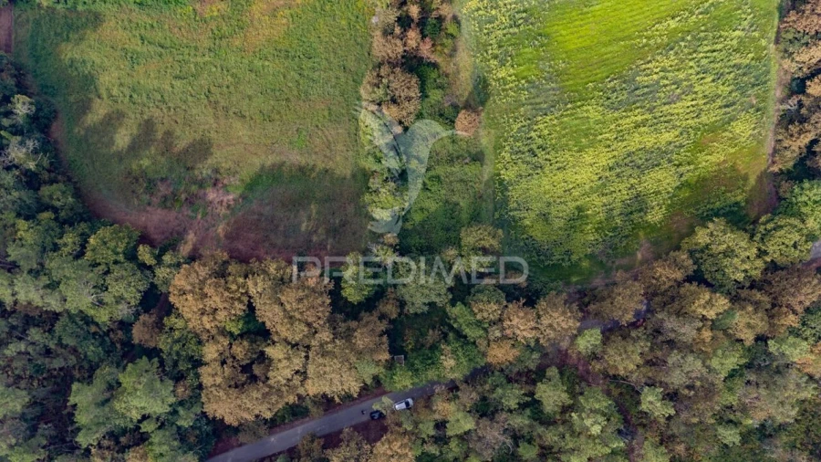 Terreno para Venda em Lage Foto 10