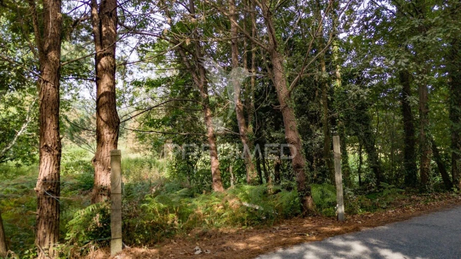 Terreno para Venda em Lage Foto 24