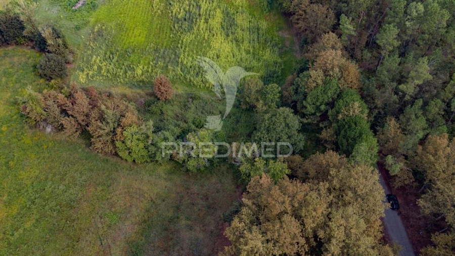 Terreno para Venda em Lage Foto 31