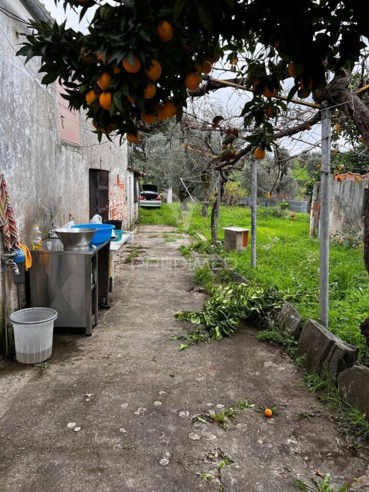 Moradia T3 para Venda em Mouriscas Foto 7