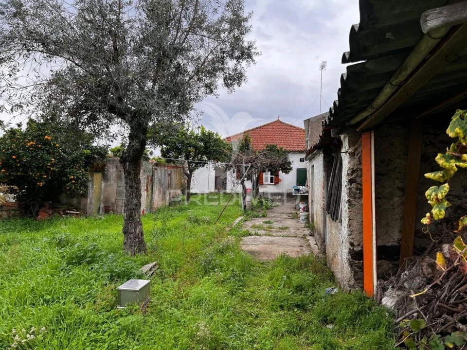 Moradia T3 para Venda em Mouriscas Foto 6