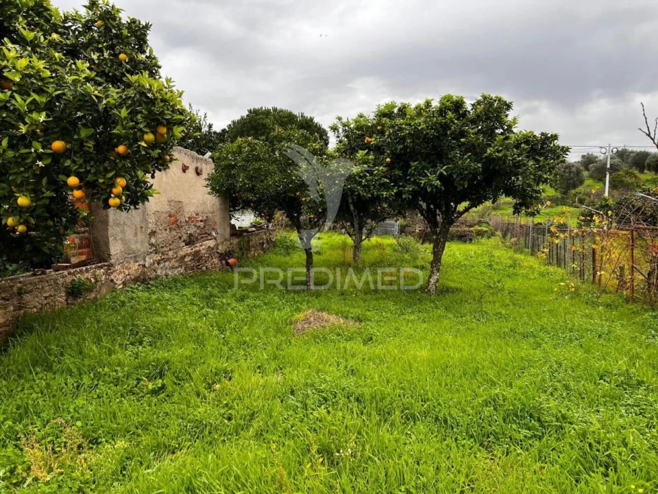 Moradia T3 para Venda em Mouriscas Foto 4