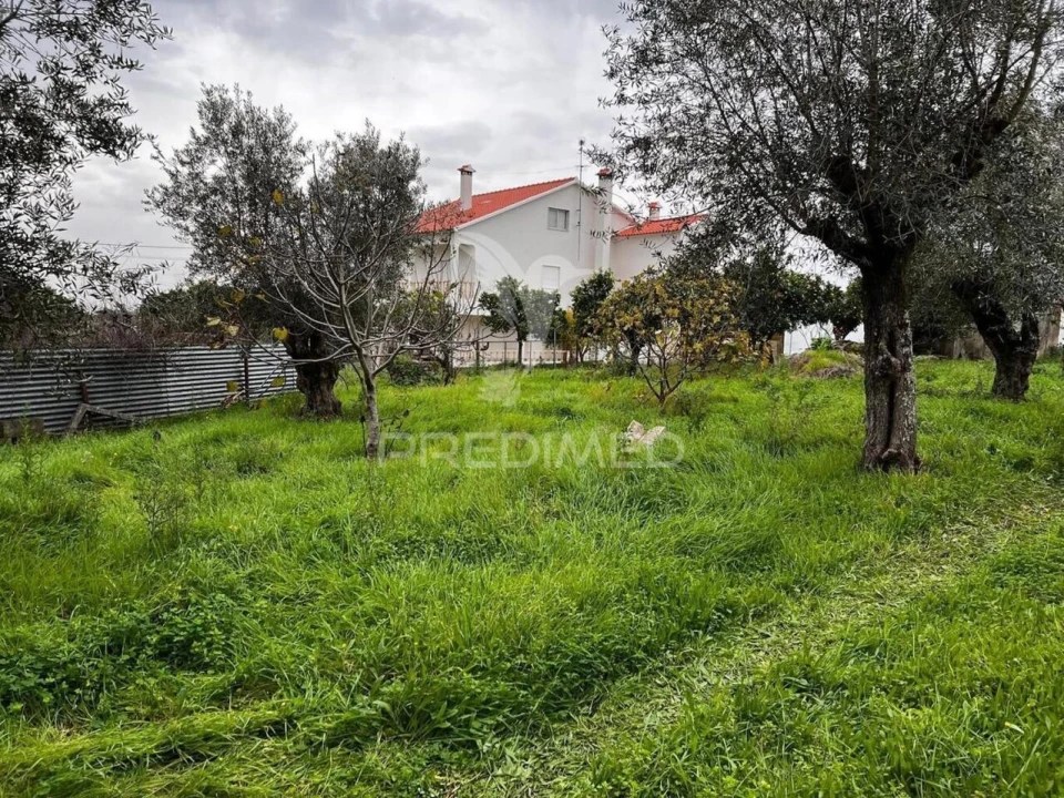 Moradia T3 para Venda em Mouriscas Foto 13