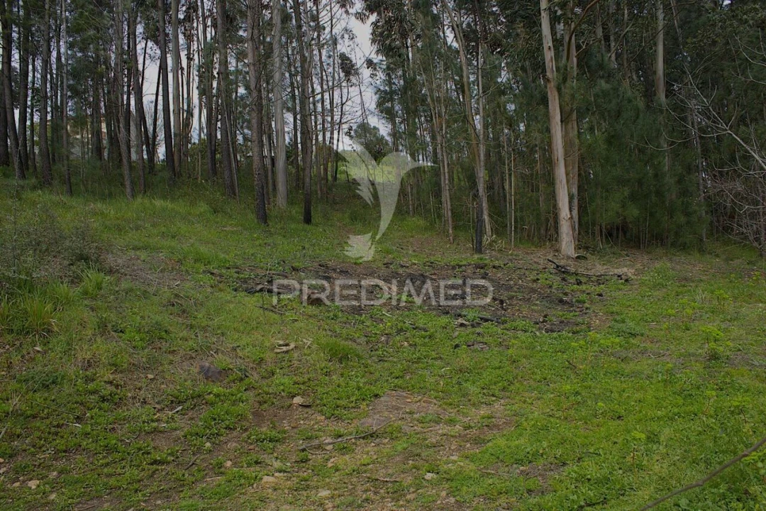 Terreno para Venda em Telões Foto 3