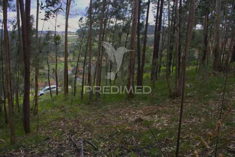 Terreno para Venda em Telões Foto 4