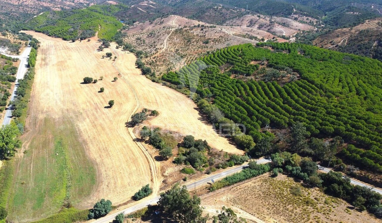 Quinta T0 para Venda em São Salvador e Santa Maria Foto 6
