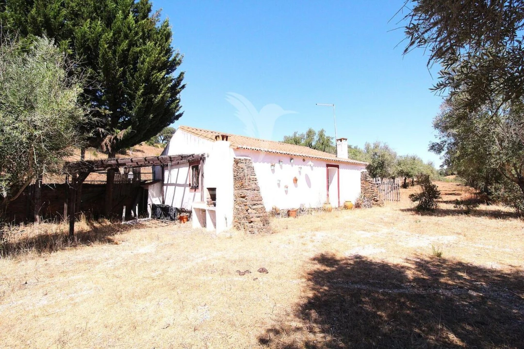 Quinta T0 para Venda em São Salvador e Santa Maria Foto 32
