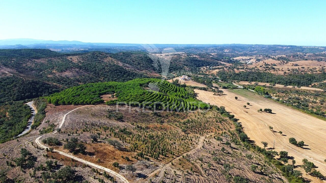 Quinta T0 para Venda em São Salvador e Santa Maria Foto 14