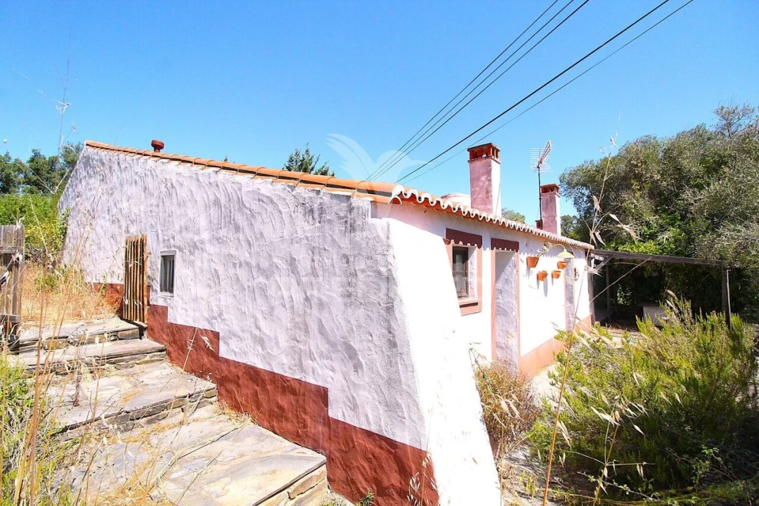 Quinta T0 para Venda em São Salvador e Santa Maria Foto 31