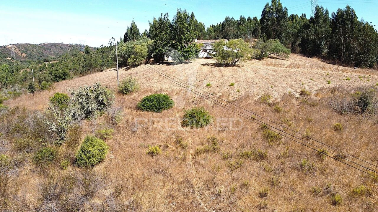 Quinta T0 para Venda em São Salvador e Santa Maria Foto 7